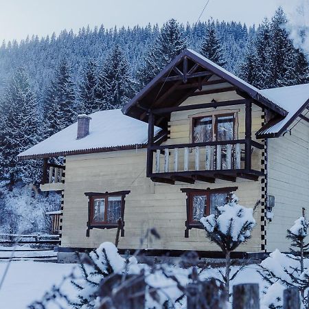 Villa 7+Я Werchowyna Exterior foto