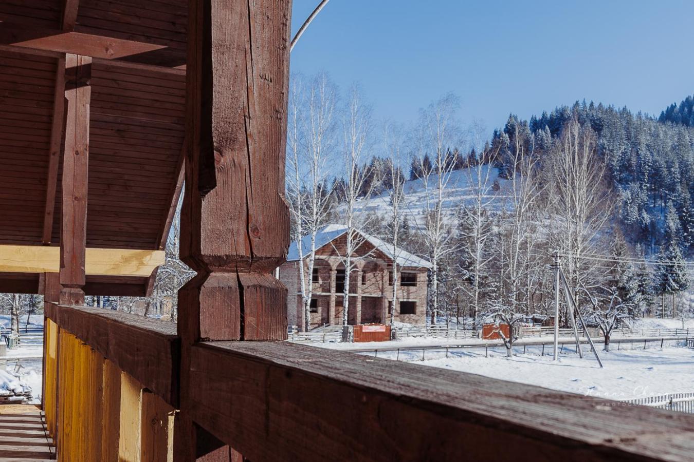 Villa 7+Я Werchowyna Exterior foto